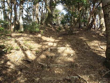 20190108hike (394)